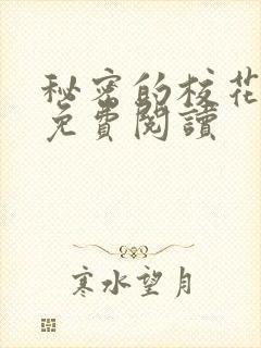 秘密的校花小说免费阅读