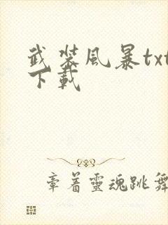武装风暴txt下载