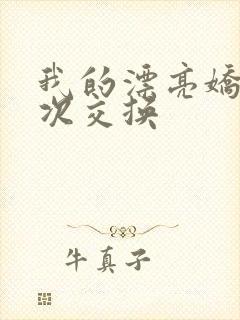 我的漂亮娇妻初次交换