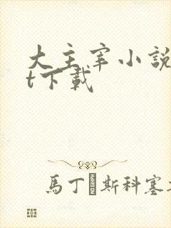 大主宰小说txt下载