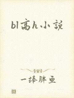 bl高h小说