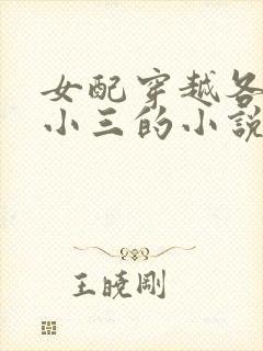 女配穿越各个做小三的小说