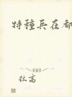 特种兵在都市