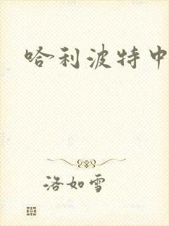 哈利波特中文版