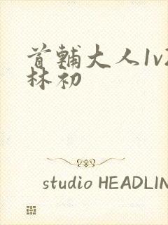 首辅大人1v2林初