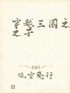 穿越三国之袁绍之子