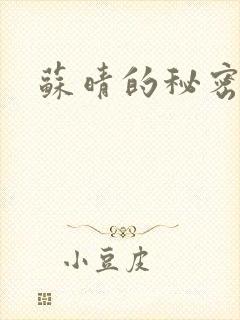 苏晴的秘密小说