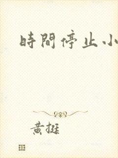 时间停止小说
