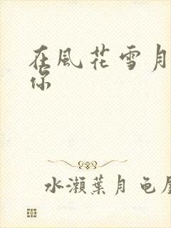 在风花雪月里等你