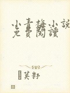 小青梅小说全文免费阅读