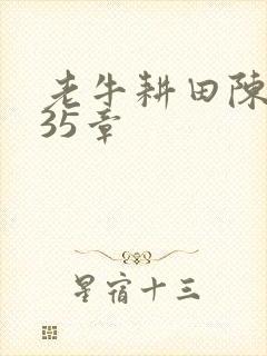 老牛耕田陈雪435章