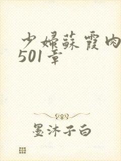 少妇苏霞肉欲第501章