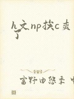 h文np挨c爽了