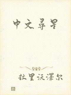 中文寻星