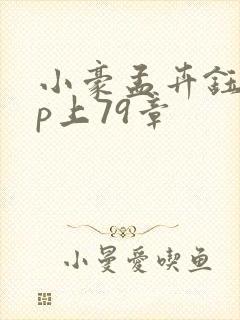 小豪孟卉钰慧三p上79章