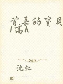 首长的宝贝1v1高h