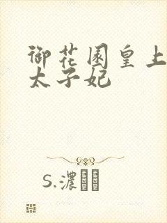 御花园皇上撞着太子妃