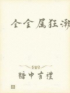 全金属狂潮小说