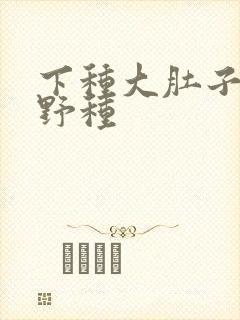下种大肚子怀孕野种