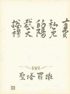 总裁的私有宝贝穆天阳免费