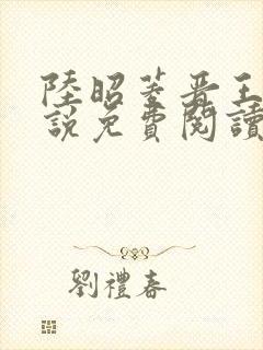 陆昭菱晋王的小说免费阅读