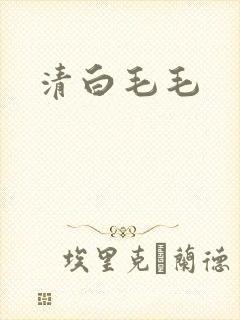 清白毛毛