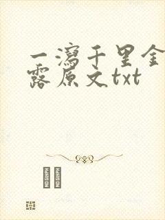 一泻千里金银花露原文txt