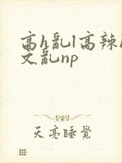 高h乱l高辣h文乱np
