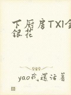 下厨房TXl金银花