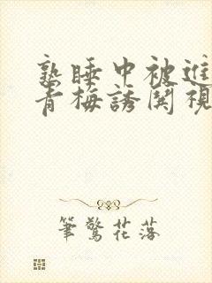 熟睡中被进了H青梅诱哄视频