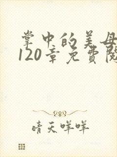 掌中的美母版主120章免费阅读