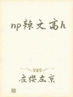 np辣文高h
