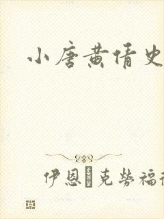 小唐黄倩史