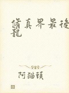 修真界最后一条龙