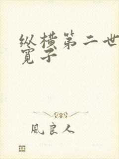纵横第二世界 宽子