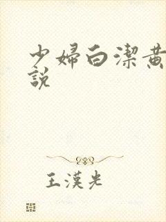 少妇白洁黄色小说