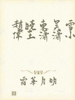 赵晓东吴雪晴郑伟王潇潇小说