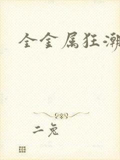 全金属狂潮小说