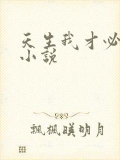 天生我才必有用小说