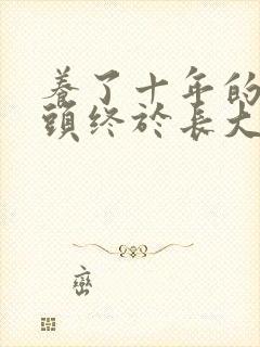 养了十年的小丫头终于长大了