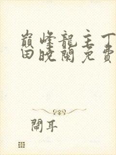 巅峰龙主丁长顺田晓兰免费阅读