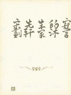 宋先生的宠妻计划轩家沐言