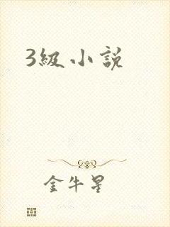 3级小说