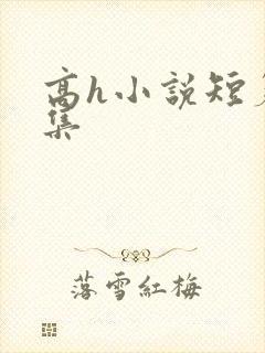 高h小说短篇合集