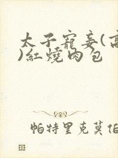 太子宠妾(高肉)红烧肉包