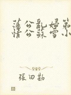 荡公乱妇第1章情公苏雪小说