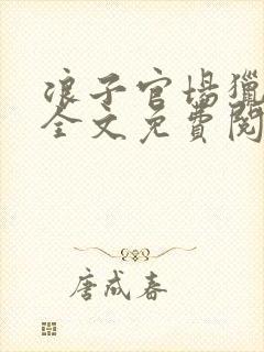 浪子官场猎艳记全文免费阅读