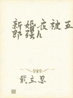 新婚夜被五个伴郎强h
