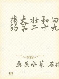 杨大壮和田桂花的第二十九