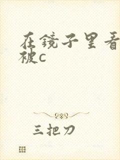 在镜子里看自己被c